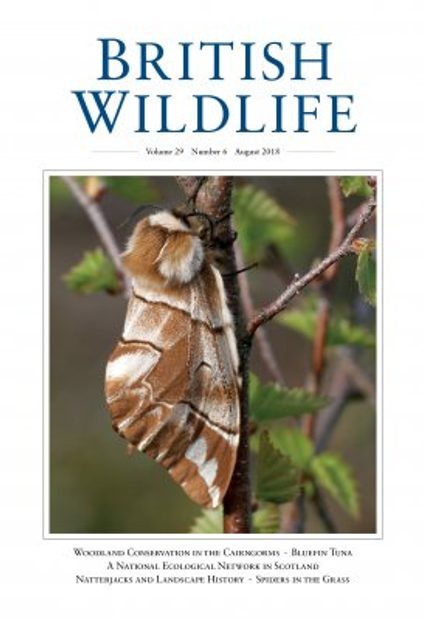 British Wildlife 29.6 August 2018