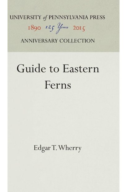 Guide to Eastern Ferns