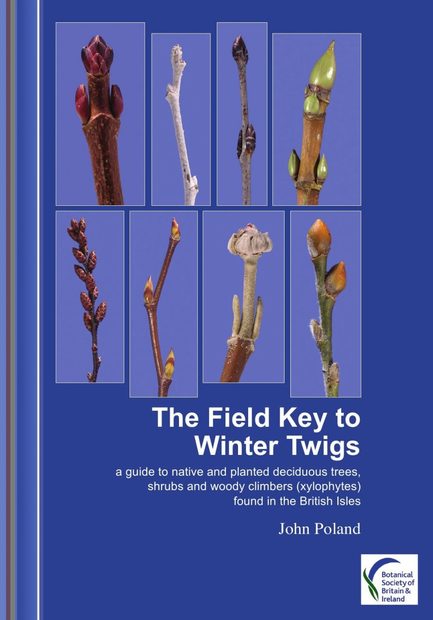 The Field Key to Winter Twigs
