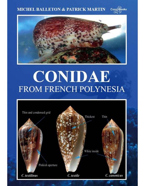 Conidae from French Polynesia