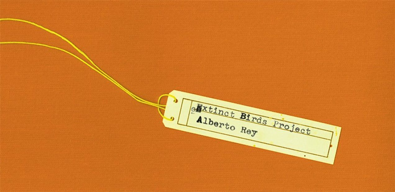 Extinct Birds Project