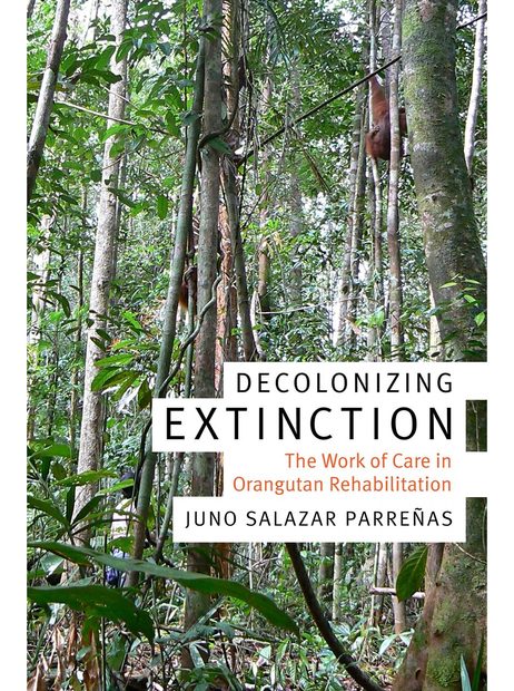 Decolonizing Extinction