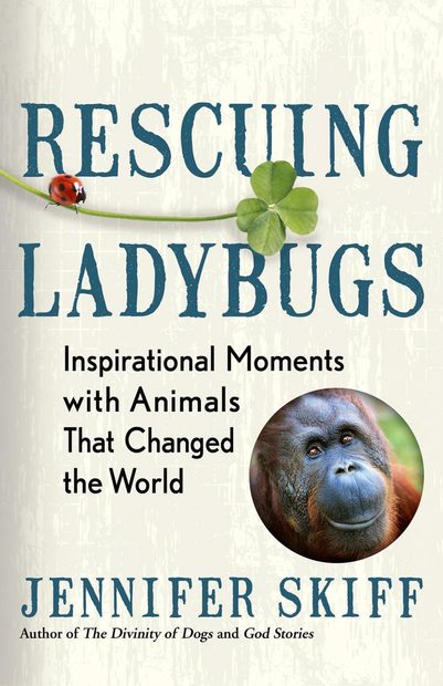 Rescuing Ladybugs