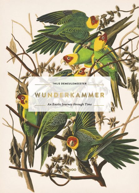 Wunderkammer: An Exotic Journey Through Time