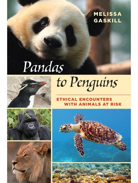 Pandas to Penguins