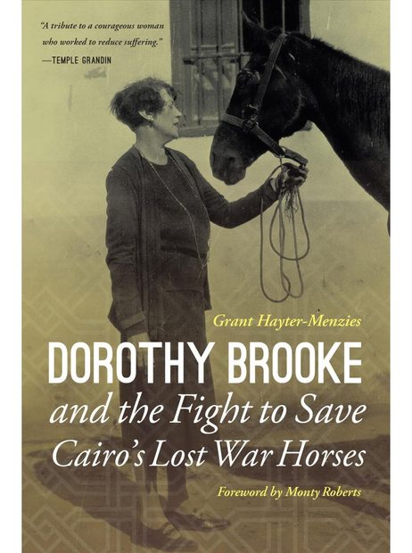 Dorothy Brooke and the Fight to Save Cairo's Lost War Horses