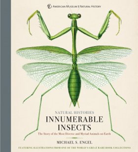 Innumerable Insects