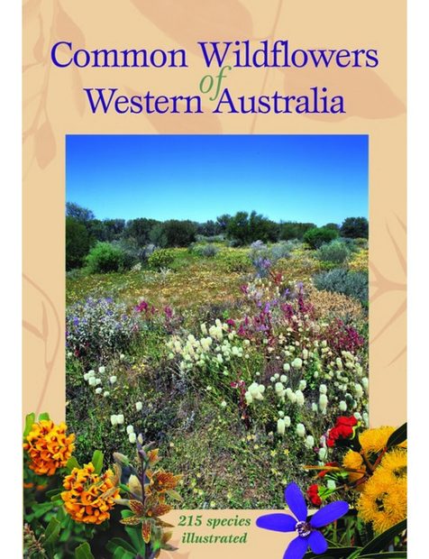 Common Wildflowers of Western Australia