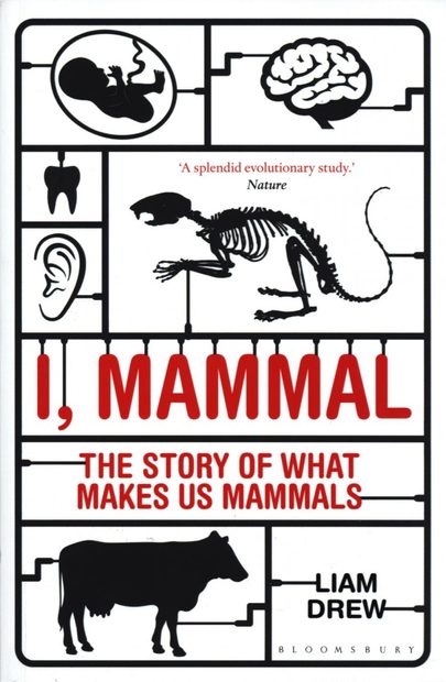 I, Mammal