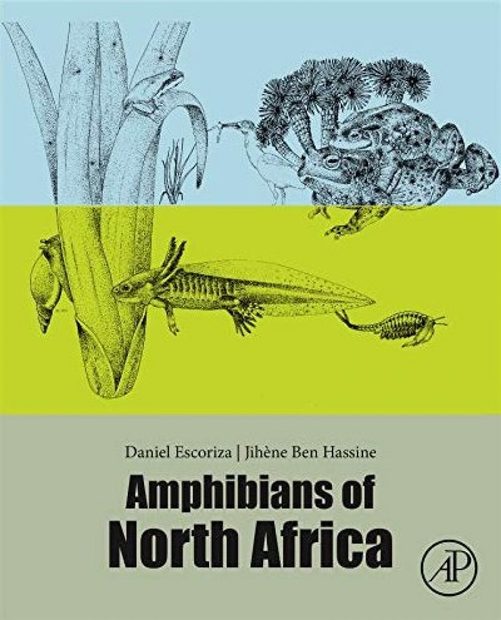 Amphibians of North Africa