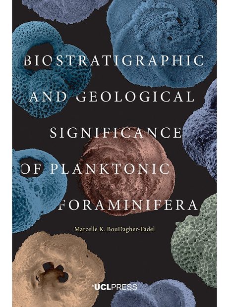 Biostratigraphic and Geological Significance of Planktonic Foraminifera