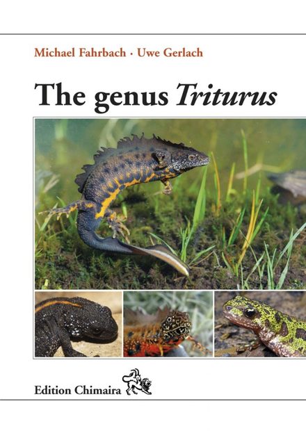 The Genus Triturus