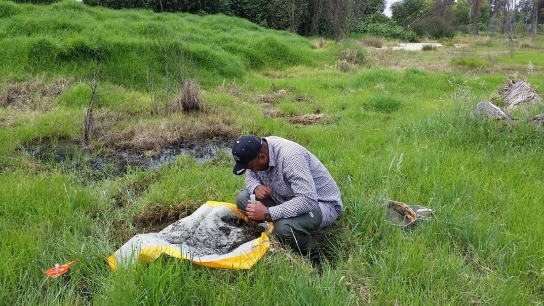 Water Beetle Collecting Sheet
