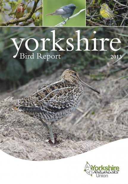 Yorkshire Bird Report 2013