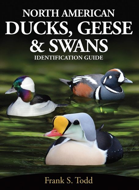North American Ducks, Geese & Swans