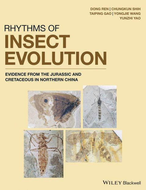 Rhythms of Insect Evolution