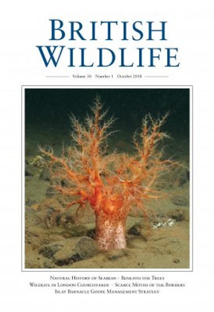 British Wildlife 30.1 October 2018