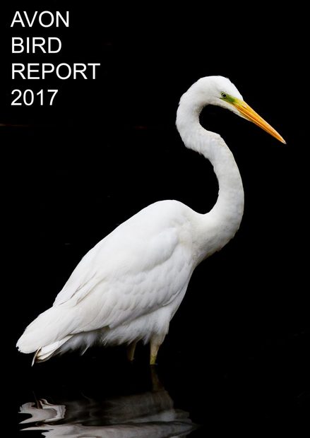 Avon Bird Report 2017