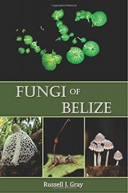 Fungi of Belize