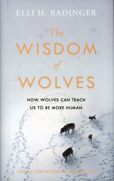 The Wisdom of Wolves