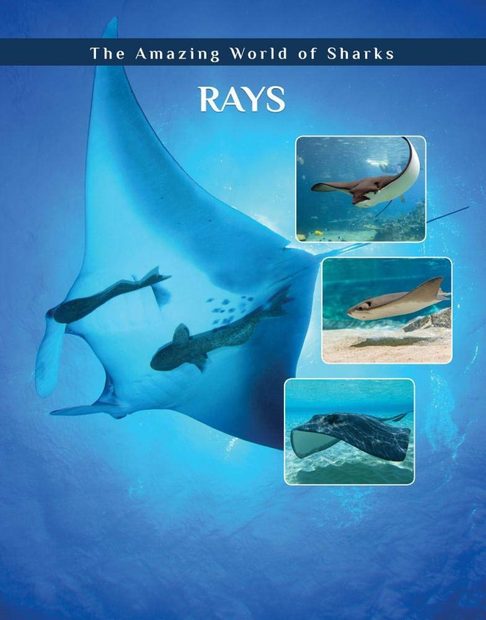 Rays