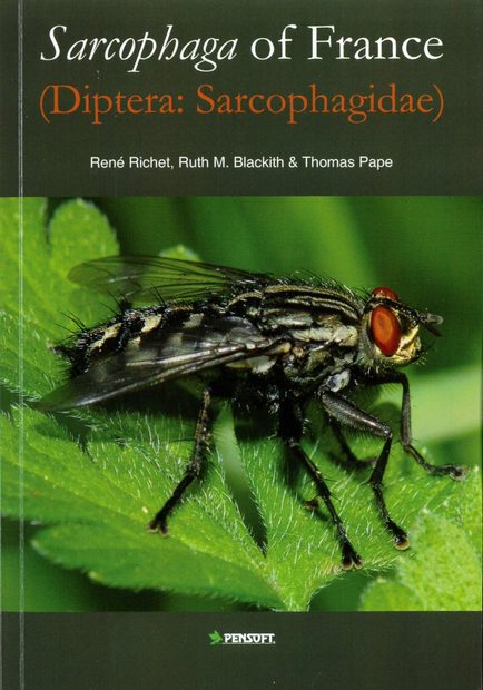 Sarcophaga of France (Diptera: Sarcophagidae)