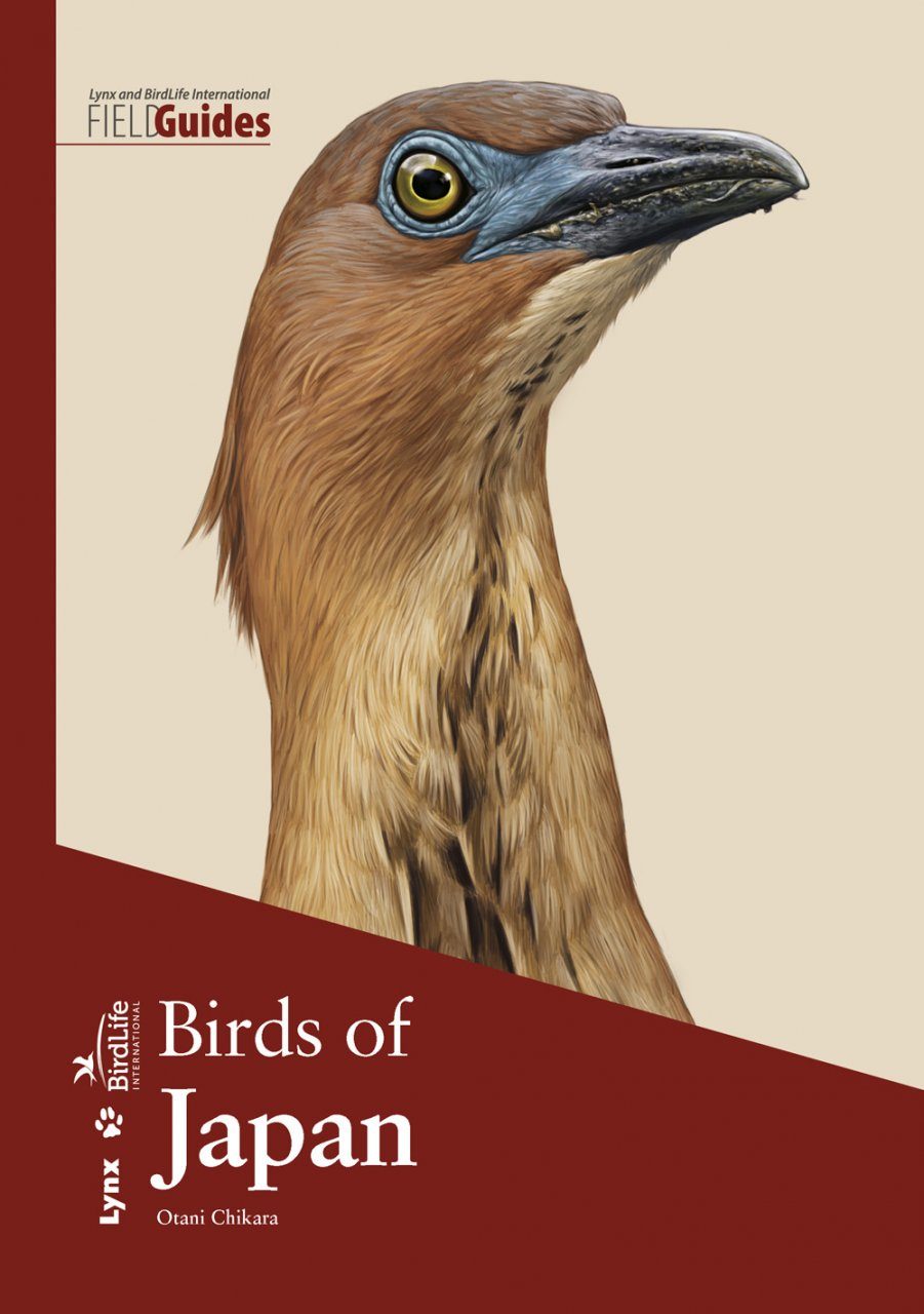 Birds of Japan | NHBS Field Guides  Natural History