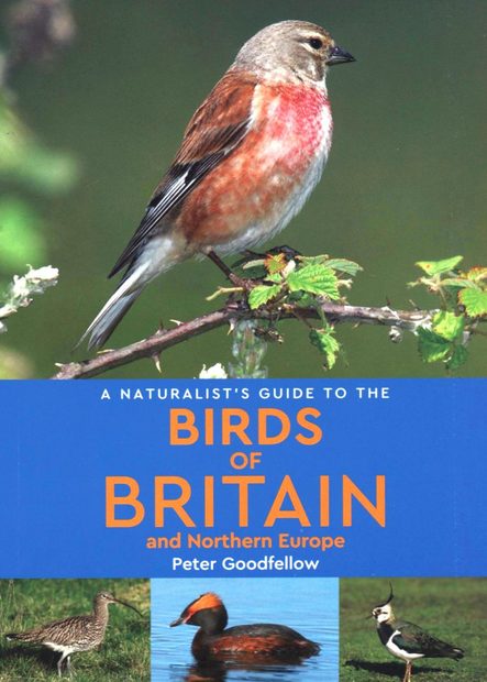 A Naturalist's Guide to the Birds of Britain and Northern Europe | NHBS ...