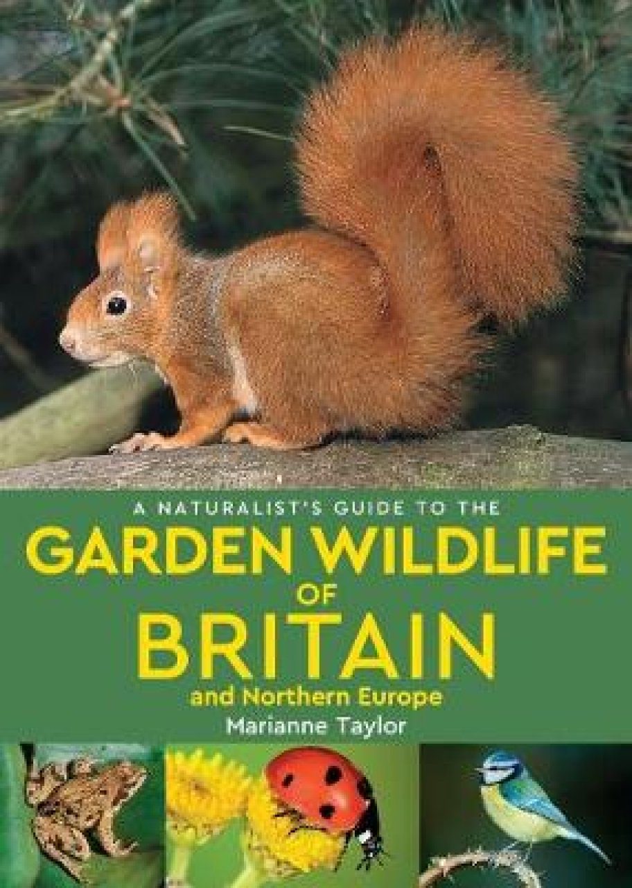 A Naturalist's Guide To The Garden Wildlife Of Britain And Northern ...