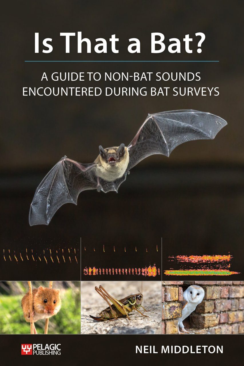 During　NHBS　a　Professional　Surveys　Encountered　Bat　Bat?:　Books　to　Sounds　A　Guide　Is　Academic　That　Non-Bat