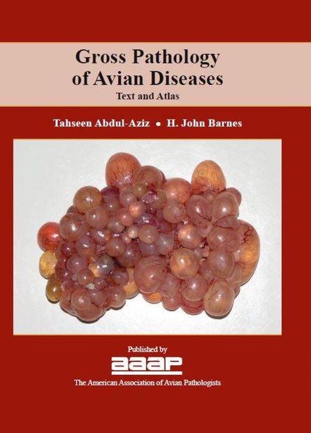 Gross Pathology of Avian Diseases