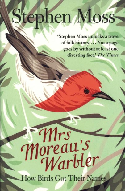 Mrs Moreau's Warbler
