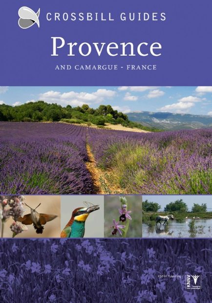 Crossbill Guide: Provence and Camargue, France