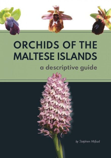 Orchids of the Maltese Islands