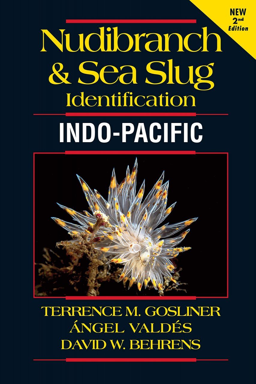 Nudibranch Amp Sea Slug Identification Indo Pacific Nhbs