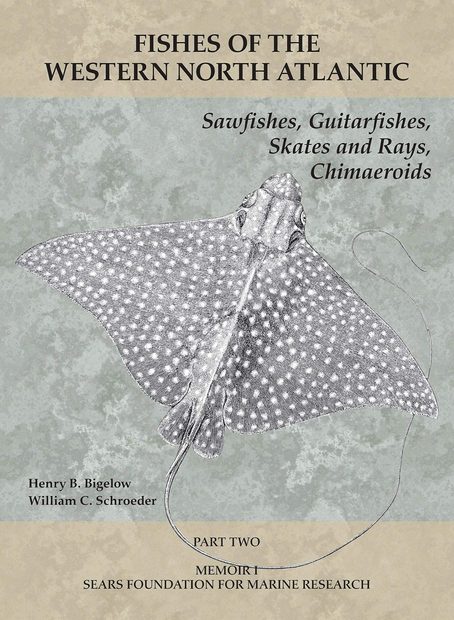 Fishes of the Western North Atlantic, Part 2