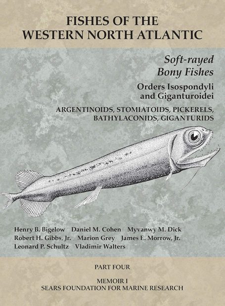 Fishes of the Western North Atlantic, Part 4