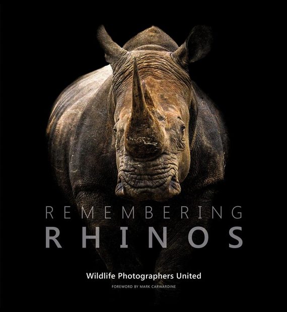 Remembering Rhinos
