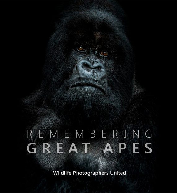 Remembering Great Apes