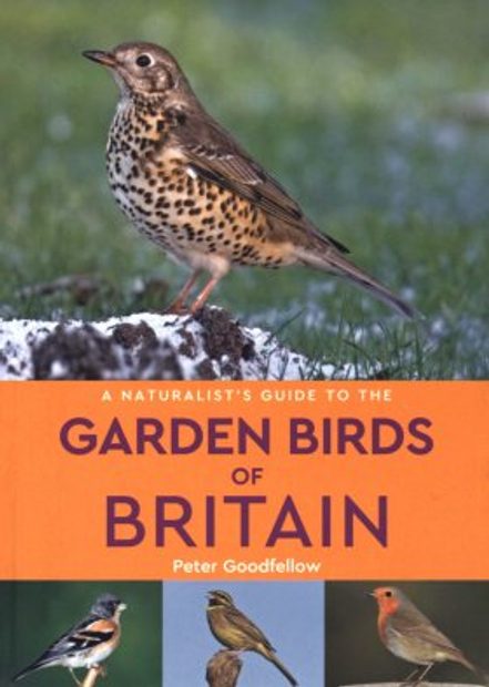 A Naturalist's Guide to Garden Birds of Britain and Ireland
