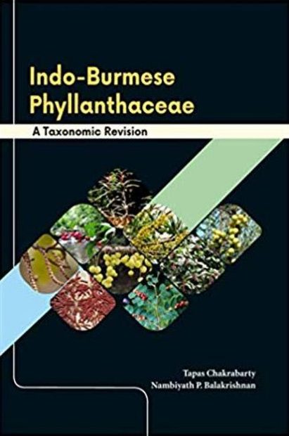 Indo-Burmese Phyllanthaceae