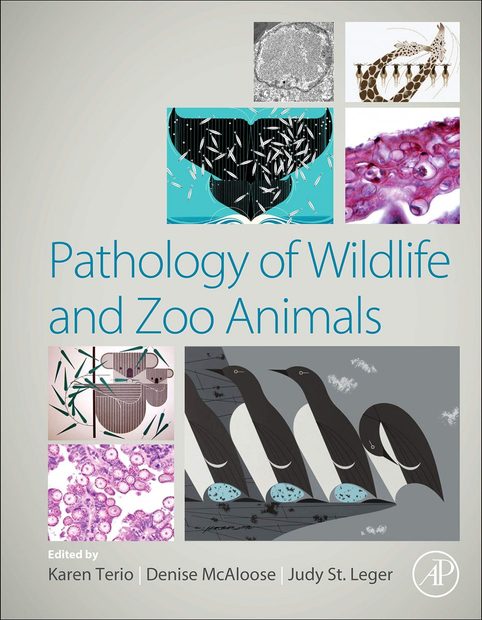 Pathology　Academic　Animals　NHBS　of　Wildlife　and　Zoo　Professional　Books
