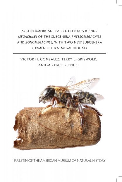 South American Leaf-Cutter Bees (Genus Megachile) of the Subgenera Rhyssomegachile and Zonomegachile, with Two New Subgenera (Hymenoptera, Megachilidae)