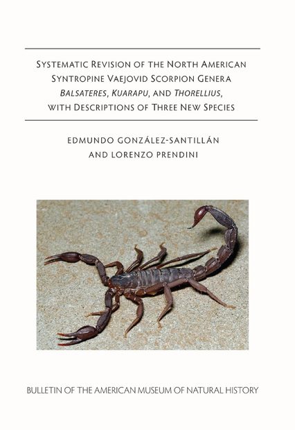 Systematic Revision of the North American Syntropine Vaejovid Scorpion Genera Balsateres, Kuarapu, and Thorellius, with Descriptions of Three New Species
