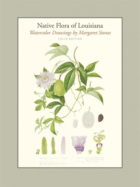 Native Flora of Louisiana