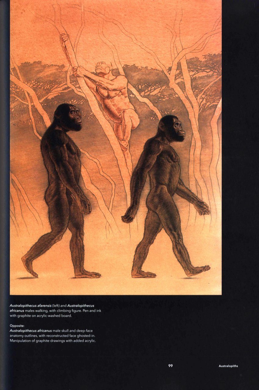 Lost Anatomies The Evolution of the Human Form 