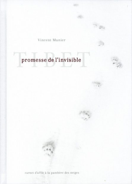 Tibet: Promesse de l'Invisible [Tibet: Promise of the Invisible]