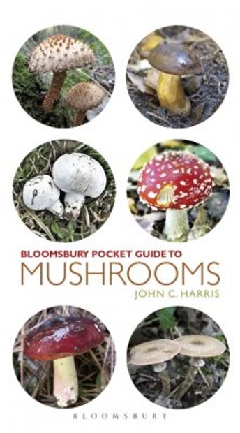 Bloomsbury Pocket Guide to Mushrooms