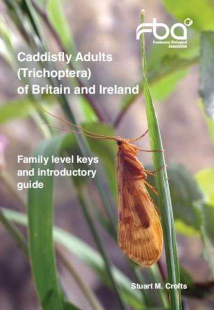 Caddisfly Adults (Trichoptera) of Britain and Ireland