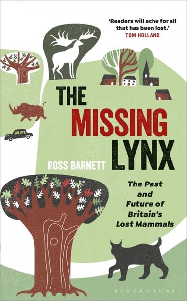The Missing Lynx